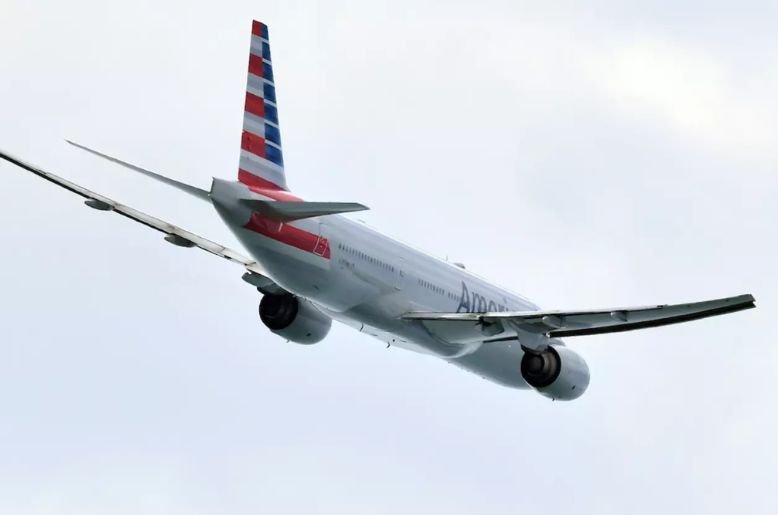 American Airlines Bird Strike Incident