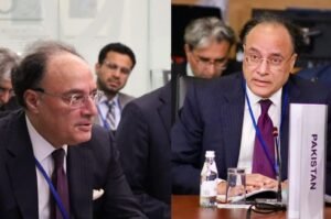 FM Aurangzeb climate finance