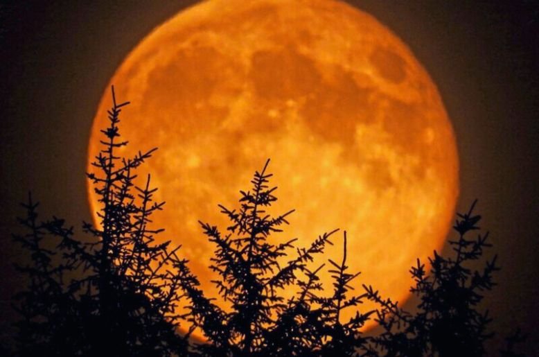 Harvest Supermoon 2025