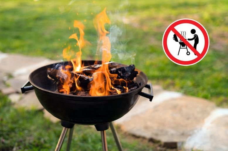 Lahore Bans BBQ Cooking on Coal and Wood