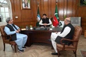 Sohail Afridi Pakistan Flag