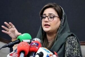 Azma Bukhari, Punjab firearms , Punjab ,