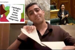 Ali Tareen Viral Memes