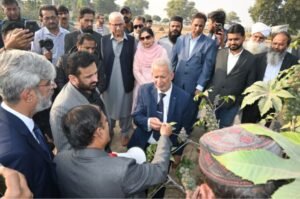 PAEC, Pakistan Atomic energy, National Field Day , Castor Bean and Sesame,