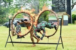 Pakistan–Indonesia Joint Military Exercise Shaheen Strike-II Concludes