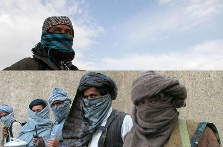 TTP Orders Terrorist Groups to Leave Pakistan