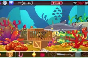 Angelfish Game
