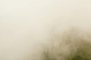 Punjab weather: severe fog leads to temporary closure of motorways