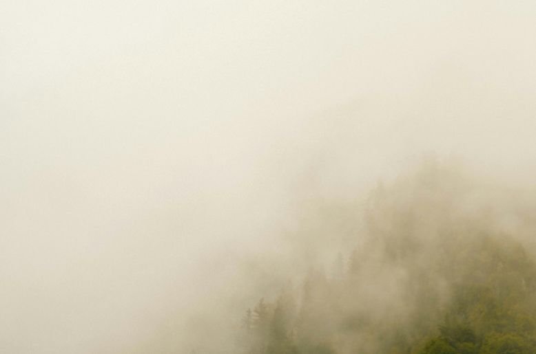 Punjab weather: severe fog leads to temporary closure of motorways