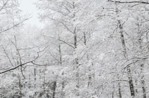 Holiday travel disrupted: snow, ice storm cause flight cancellations across Northeast US