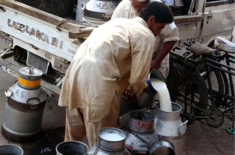 Karachi milk declared unfit for humans