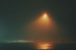 Pakistan weather: cold, foggy conditions continue, rain expected