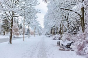 Winter Break Declared for Schools in Punjab