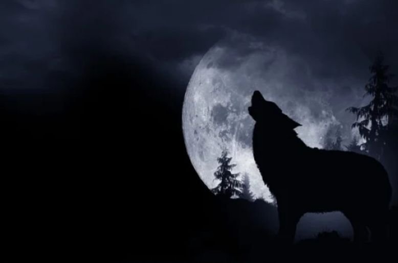 wolf moon super moon