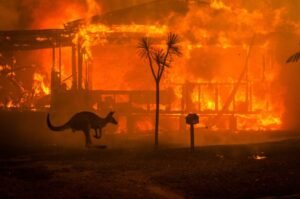 Australia bushfires