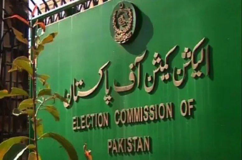 KP local elections