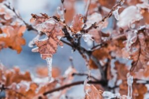 Pakistan weather today, January 10: cold weather persists