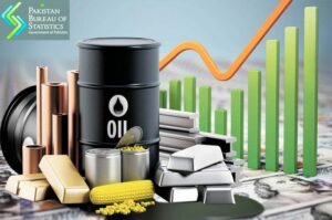 Pakistan's inflation