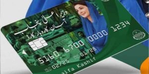 massive fraud revealed in Aasaan Karobar scheme