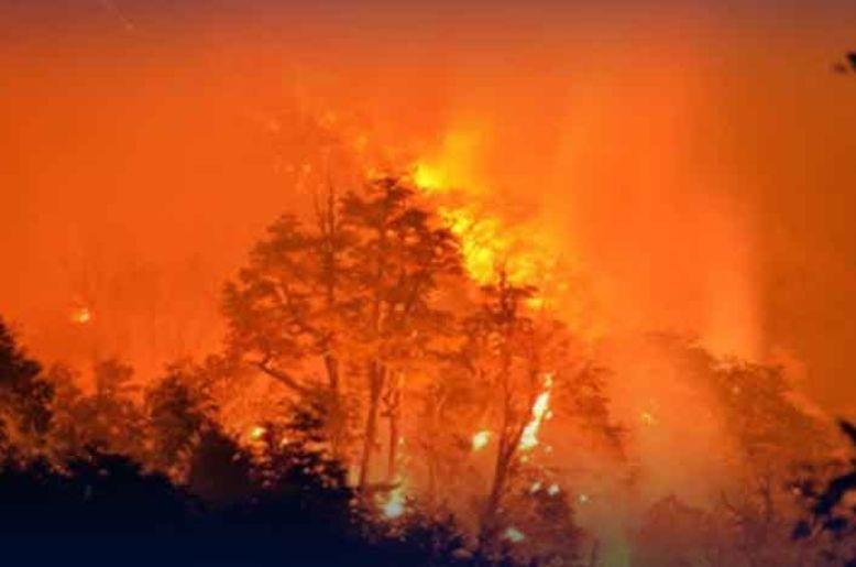 Haripur: Fire at Sobra City Hill Club threatens Grid 5 of Tarbela Dam