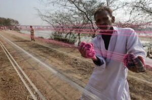 How much revenue is generated during Basant celebrations?