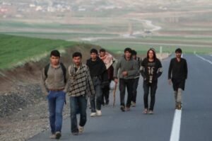 Turkiya intercepts 18 Afghan migrants in border province