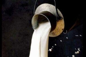 Food Authority Islamabad Milk, punjab food authority, milk in pakistan, milk production, unhygienic milk, 8000 litres milk, Food authority