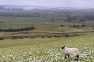 Weather today: NDMA issues alert for rain, snowfall