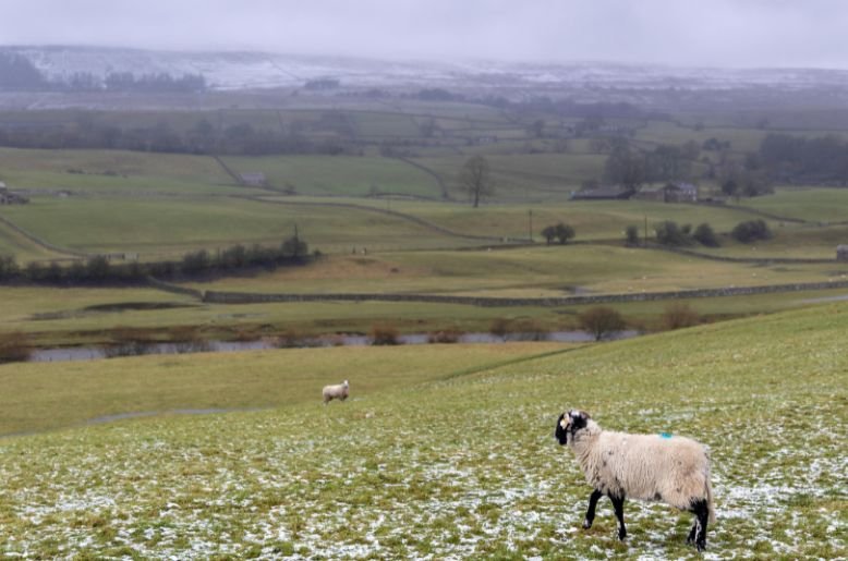 Weather today: NDMA issues alert for rain, snowfall