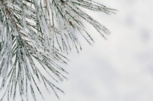 Will it snow in GB, Kashmir and KP today? PMD issues weather alert