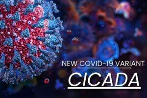 Covid 19 cicada variant