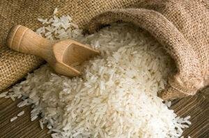 Pakistan rice exports