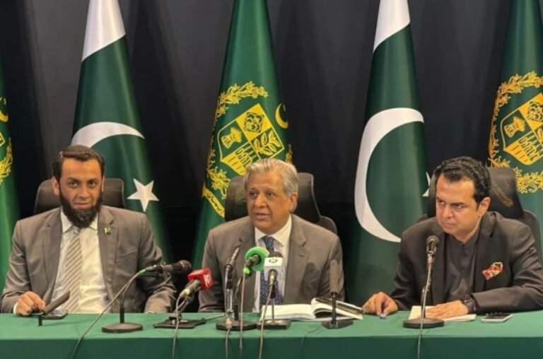 Misuse of article 19 can put diplomatic ties at risk: Tarar