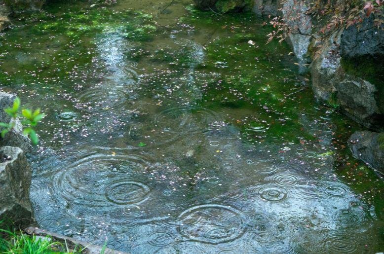 Weather today: will it rain in Pakistan?