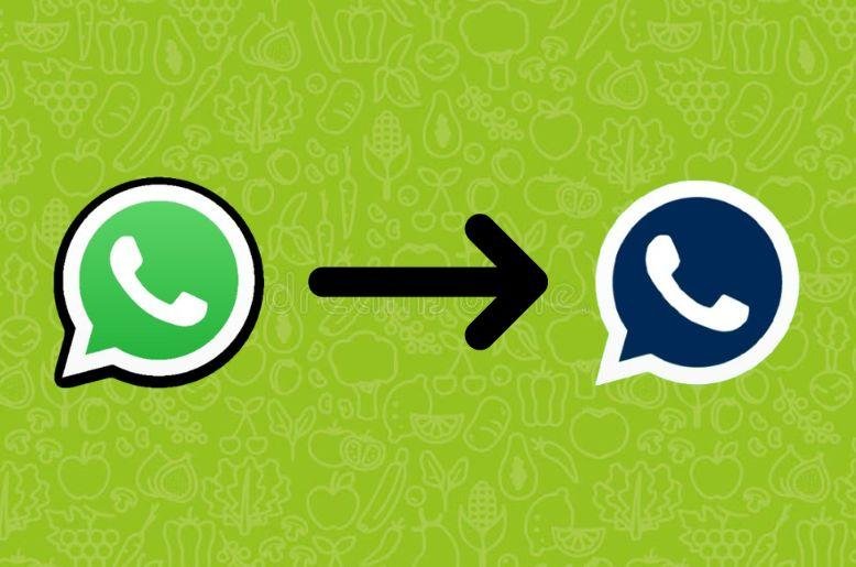 WhatsApp Plus, WhatsApp update, WhatsApp premium features, Meta apps, messaging apps, WhatsApp customization, WABetaInfo