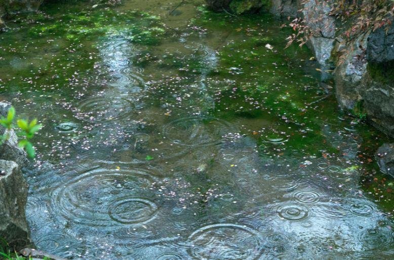 Will it rain in Karachi on Eid ul Fitr 2026?