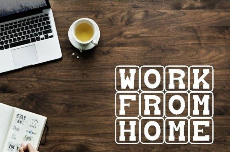 Work from home for schools government offices Punjab