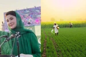 Apna Khait Apna Rozgra scheme programme