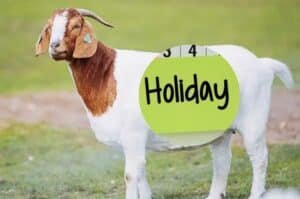 Eidul Azha 2026 expected holidays