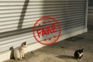 Have market, malls closure timings in Islamabad changed: check here