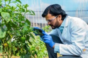 National agriculture biotechnology policy, federal government, pm shehbaz