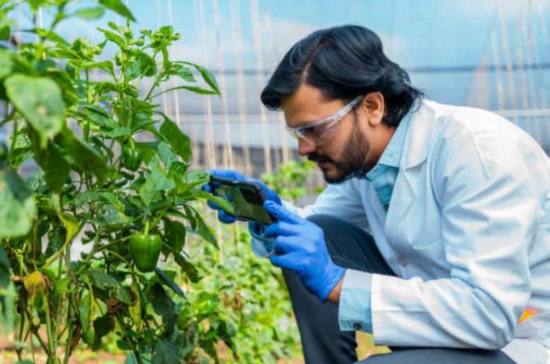 National agriculture biotechnology policy, federal government, pm shehbaz