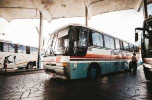 New bus service launched in Sindh