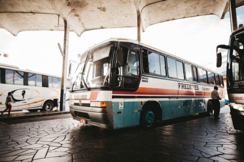 New bus service launched in Sindh