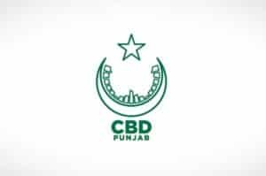 Punjab to launch central business districts across major cities