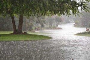 Rain forecast for Punjab, KP