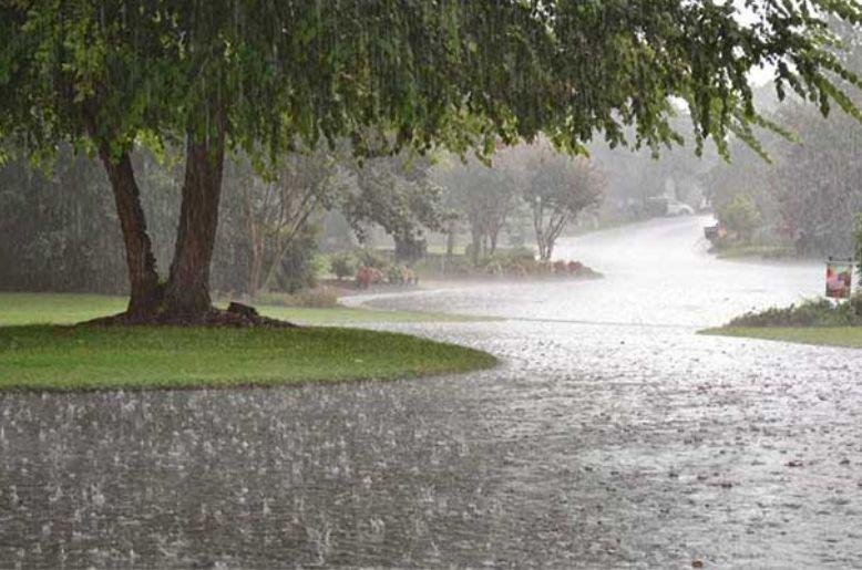 Rain forecast for Punjab, KP
