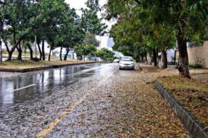 Rain forecast from tomorrow NDMA