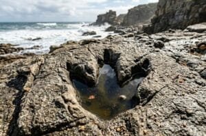 Scientists discover 132-million-year-old dinosaur footprints in South Africa