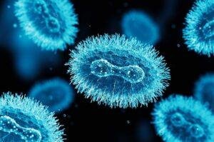 Singapore confirms first local spread of mutated monkeypox